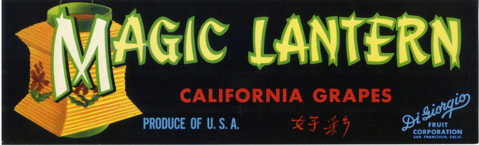 Magic Lantern Magic Lantern